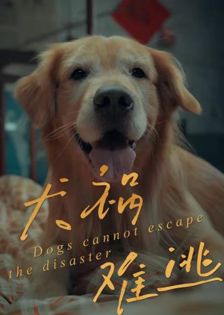 犬祸难逃
