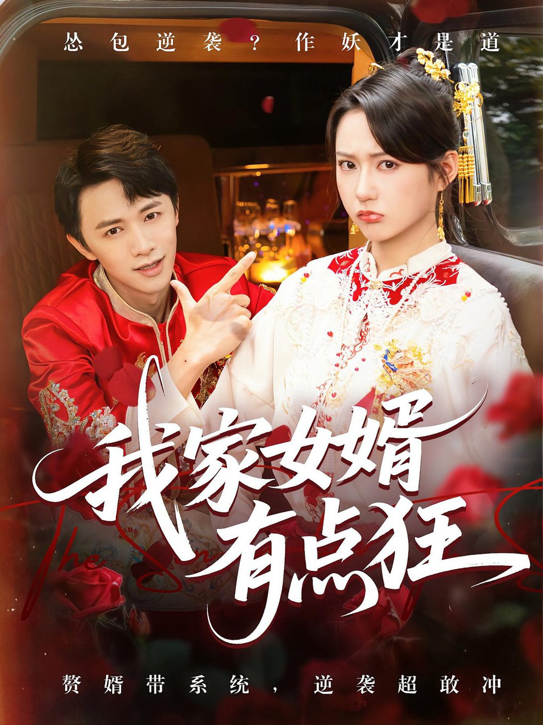 我家女婿有点狂