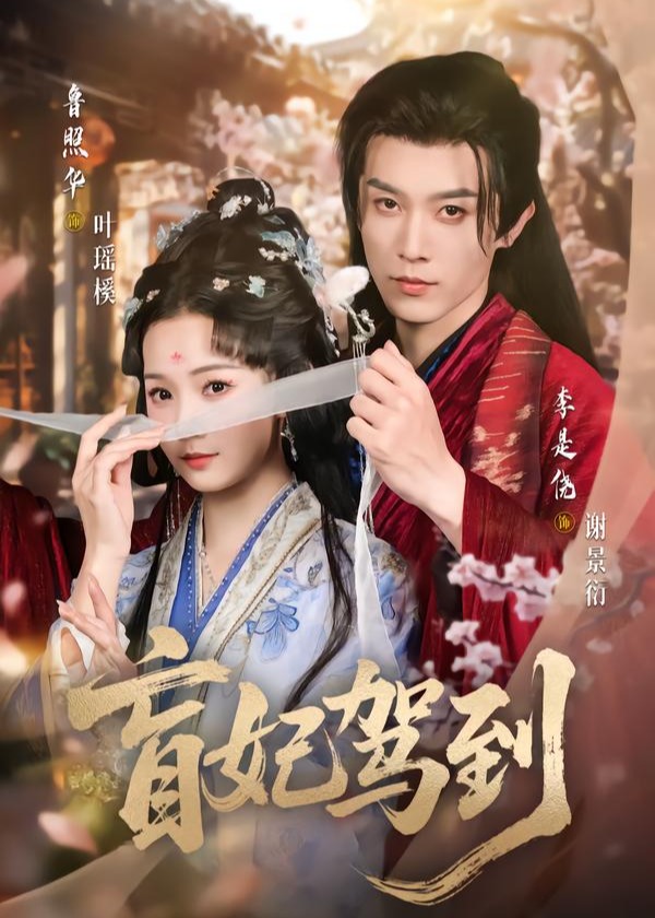 盲妃驾到