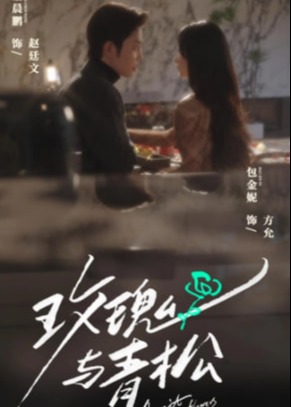 玫瑰与青松
