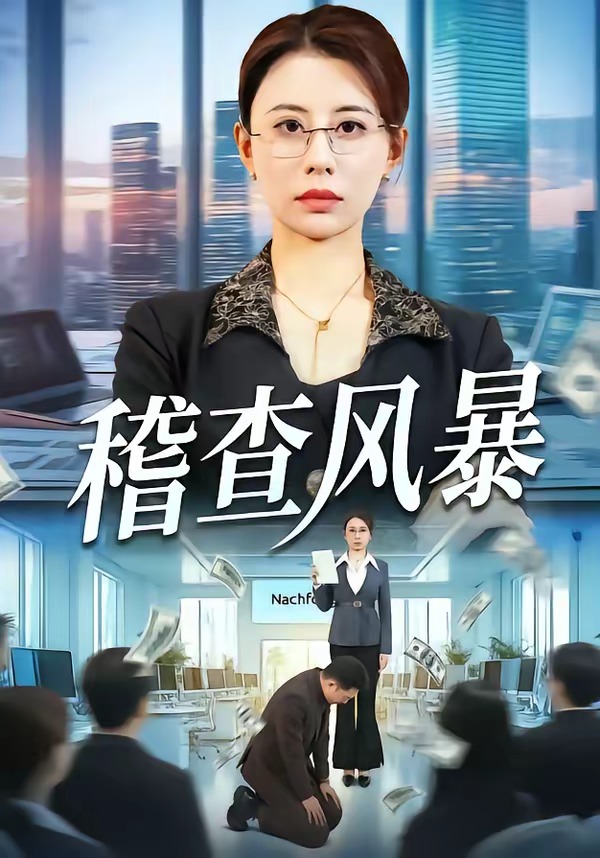 稽查风暴